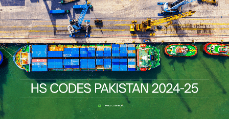 HS codes pakistan 2024-25